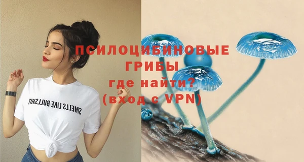 дживик Балабаново