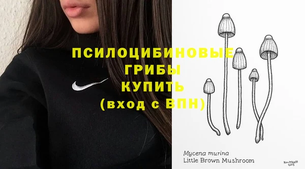 ALPHA-PVP Баксан