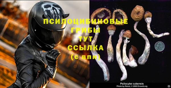 дживик Балабаново