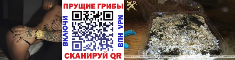 Псилоцибиновые грибы Magic Shrooms  Ульяновск 