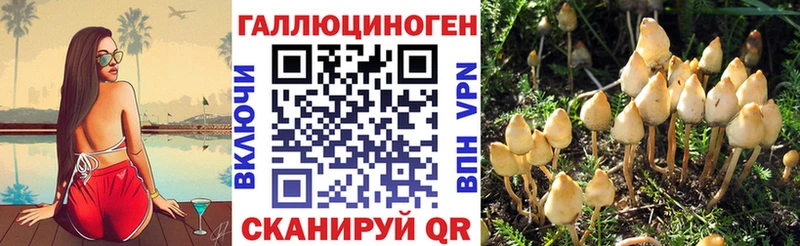 Псилоцибиновые грибы Psilocybine cubensis Ульяновск