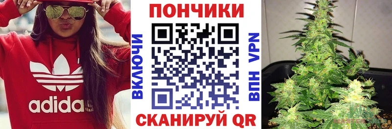 Бошки Шишки план  купить наркоту  Ульяновск 